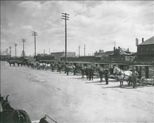 A long row of horses harnessed to wagons with men in suits standing beside them. In the background, brick buildings, a train, and utility poles. 